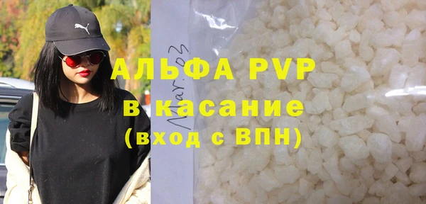 прущие грибы Волоколамск