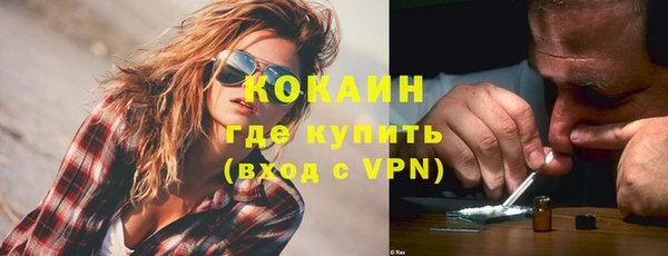 прущие грибы Волоколамск