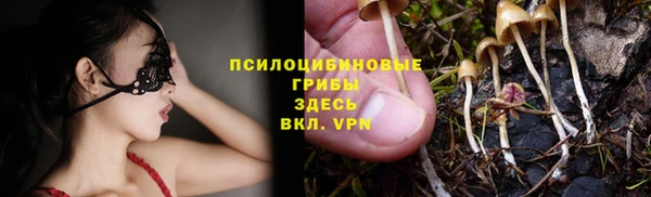 дживик Вязники