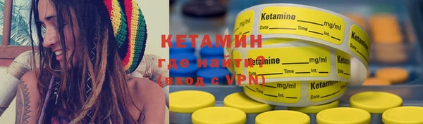 прущие грибы Волоколамск