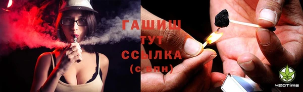 прущие грибы Волоколамск