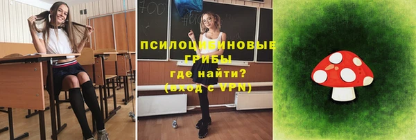 дживик Вязники